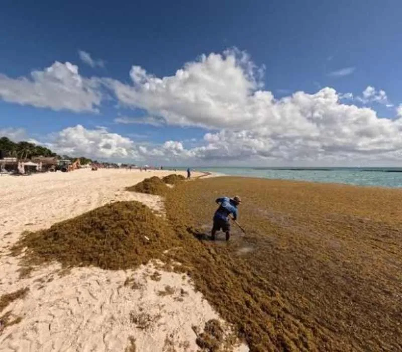 Topiltzin Tlacaelel Flores Jaramillo, coordinator of the Sargassum Containment Strategy for the Mexican Navy, speaks at a meeting in Playa del Carmen