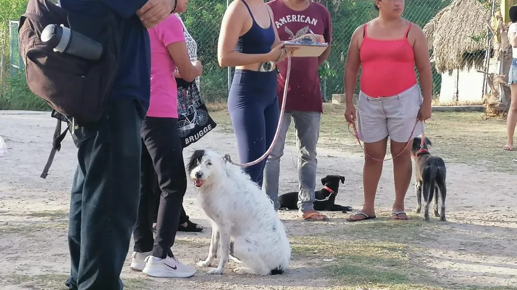 Aerial view of Playa 72, also known as Colosio Beach, in Playa del Carmen, Quintana Roo