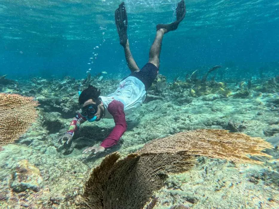 A diver monitors coral reefs off the coast of Playa del Carmen, Mexico