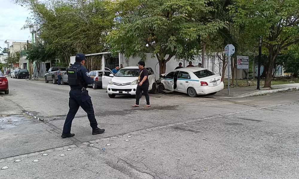 A traffic intersection in Playa del Carmen's 28 de Julio neighborhood with overgrown trees partially obscuring a stop sign
