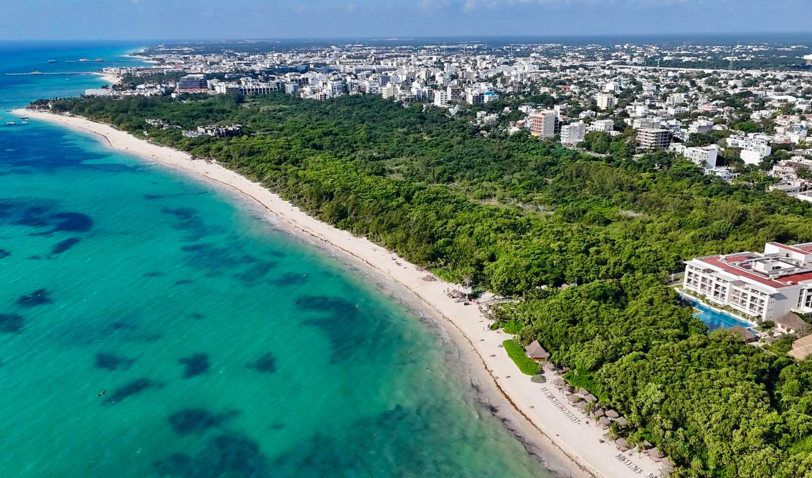 pulmon verde playa del carmen