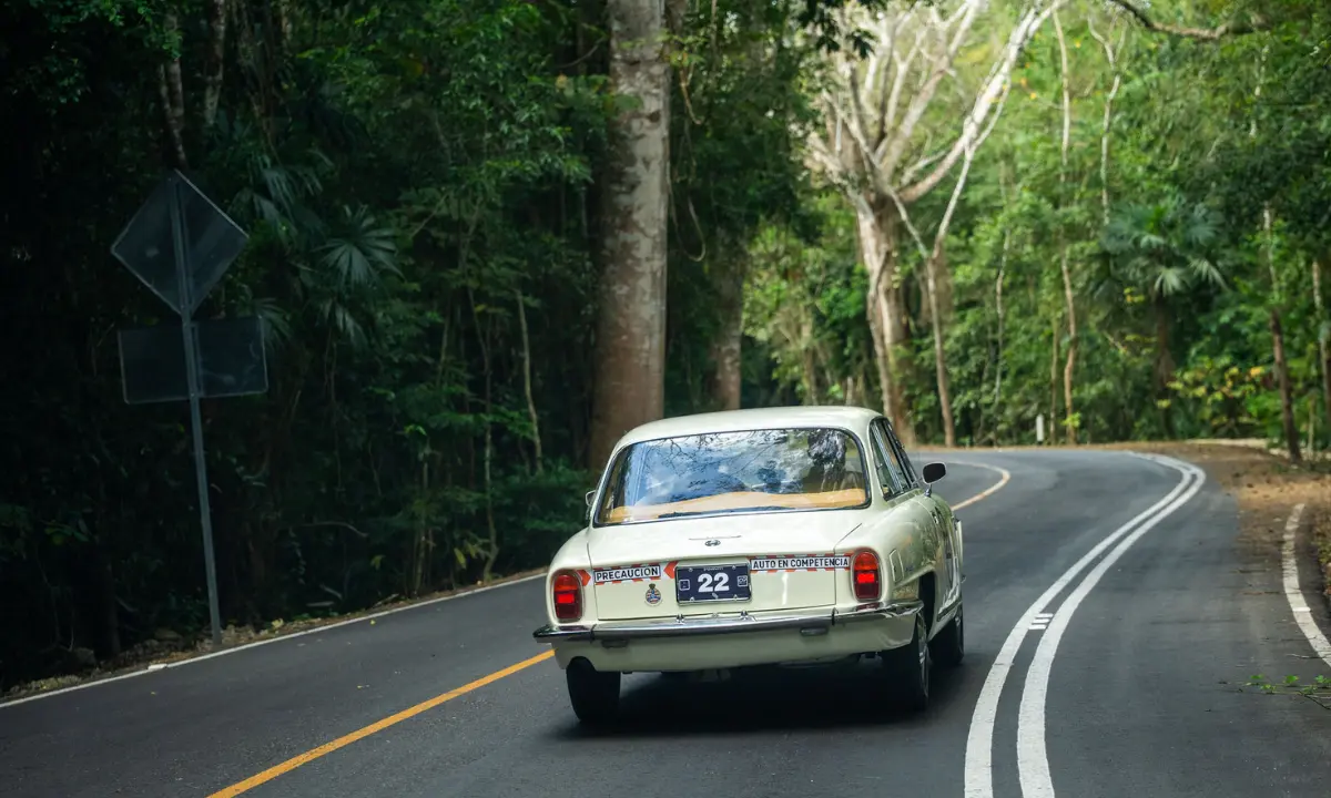 Classic cars participating in the Rally Maya event driving along a scenic road