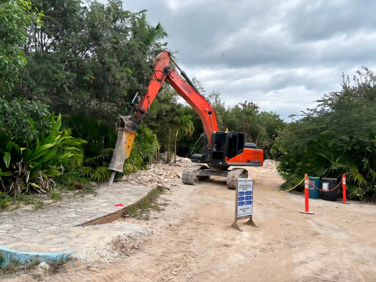 Heavy machinery operating in a forested area in Mahahual, Mexico