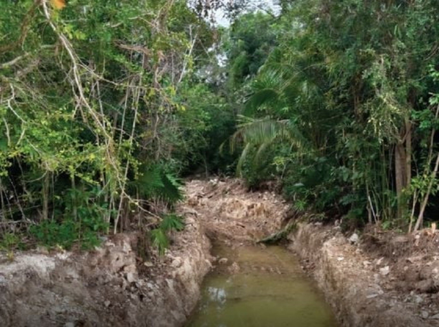 Aerial view of the Royal Caribbean Perfect Day project site in Mahahual, showing construction and environmental impact