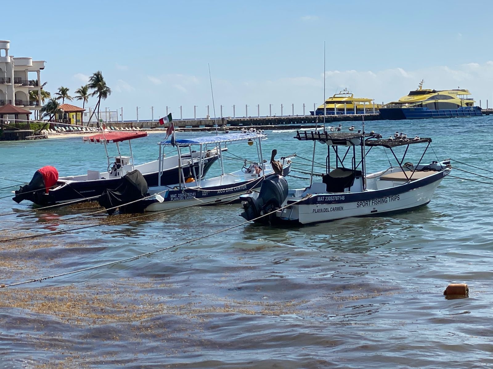 Santos Lorenzo Cat, president of the Playa del Carmen Tourist Cooperative, speaking about sargassum concerns