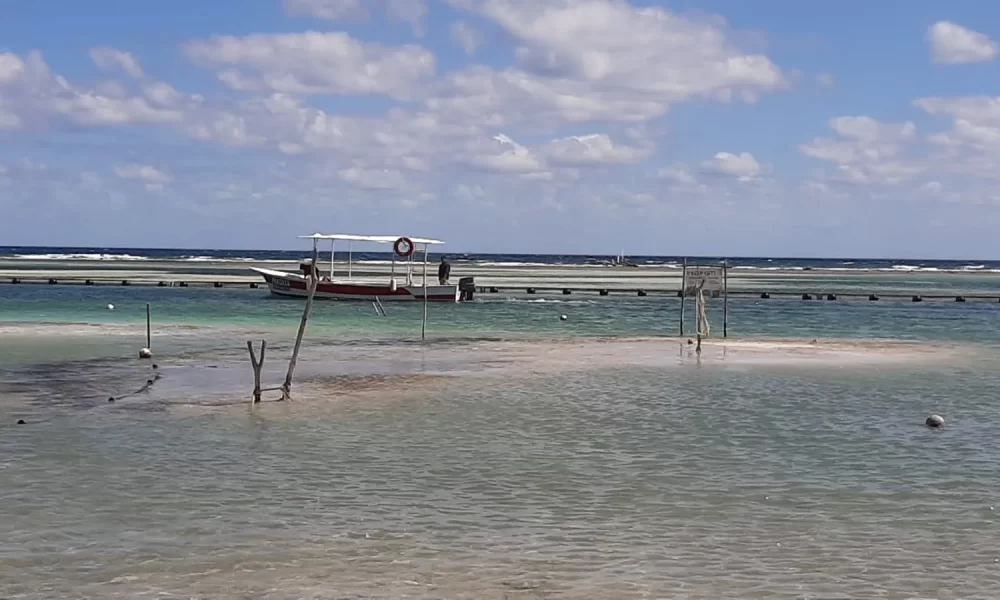 Mexican Navy personnel installing sargassum barrier off the coast of Mahahual, Quintana Roo
