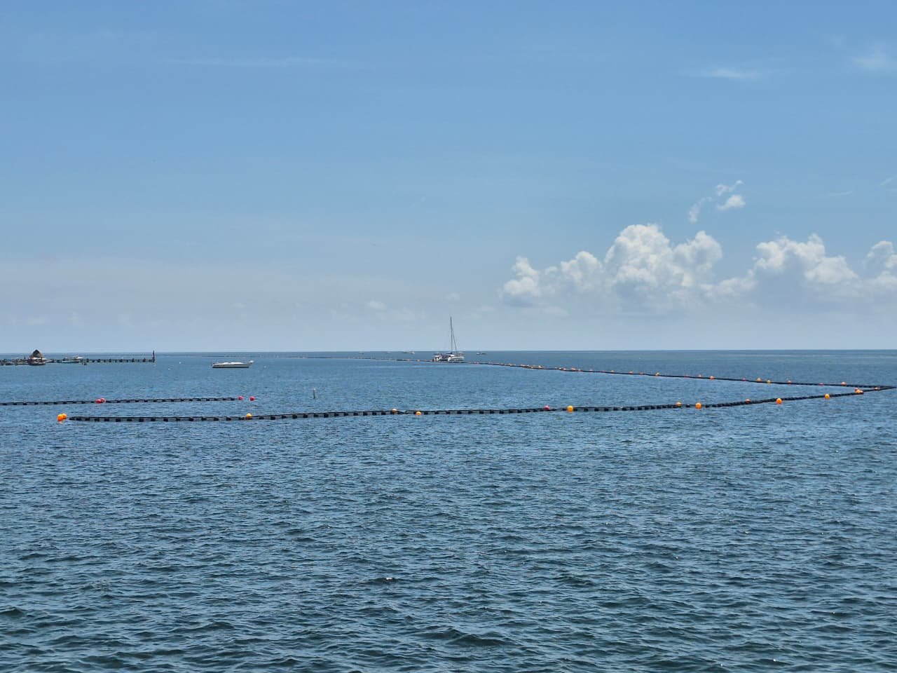 Workers cleaning sargassum from a beach in Quintana Roo, Mexico