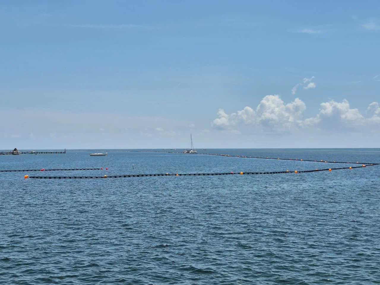 Workers cleaning sargassum from a beach in Quintana Roo, Mexico