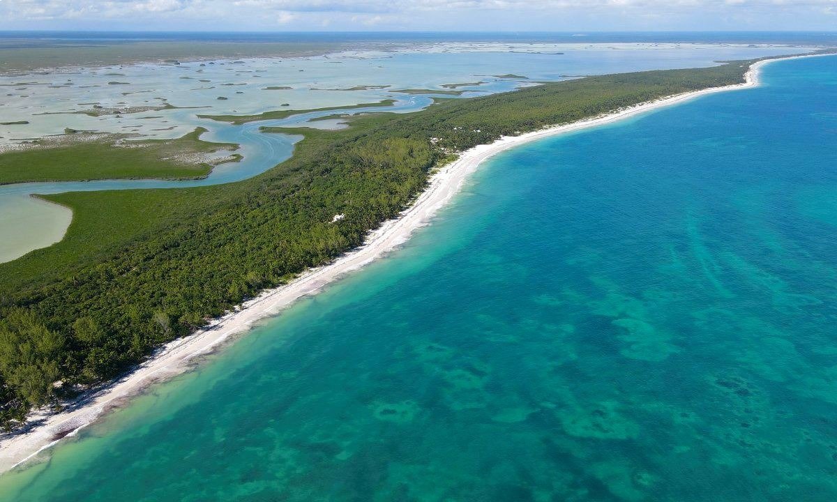 Aerial view of the Sian Ka'an Biosphere Reserve in Quintana Roo, Mexico, showing mangroves and coastal ecosystems