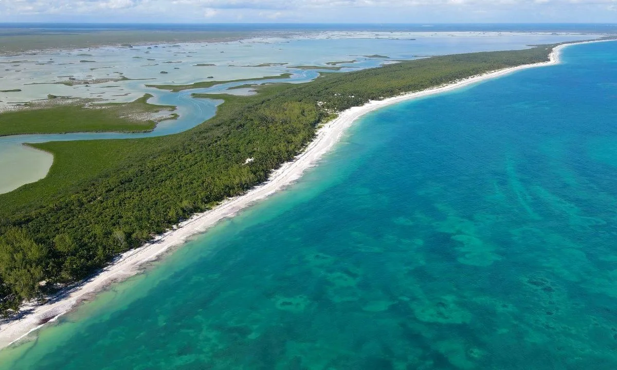 Aerial view of the Sian Ka'an Biosphere Reserve in Quintana Roo, Mexico, showing mangroves and coastal ecosystems