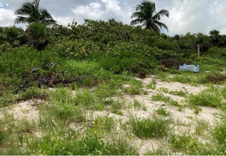Aerial view of the Sian Kaan Biosphere Reserve in Quintana Roo, Mexico