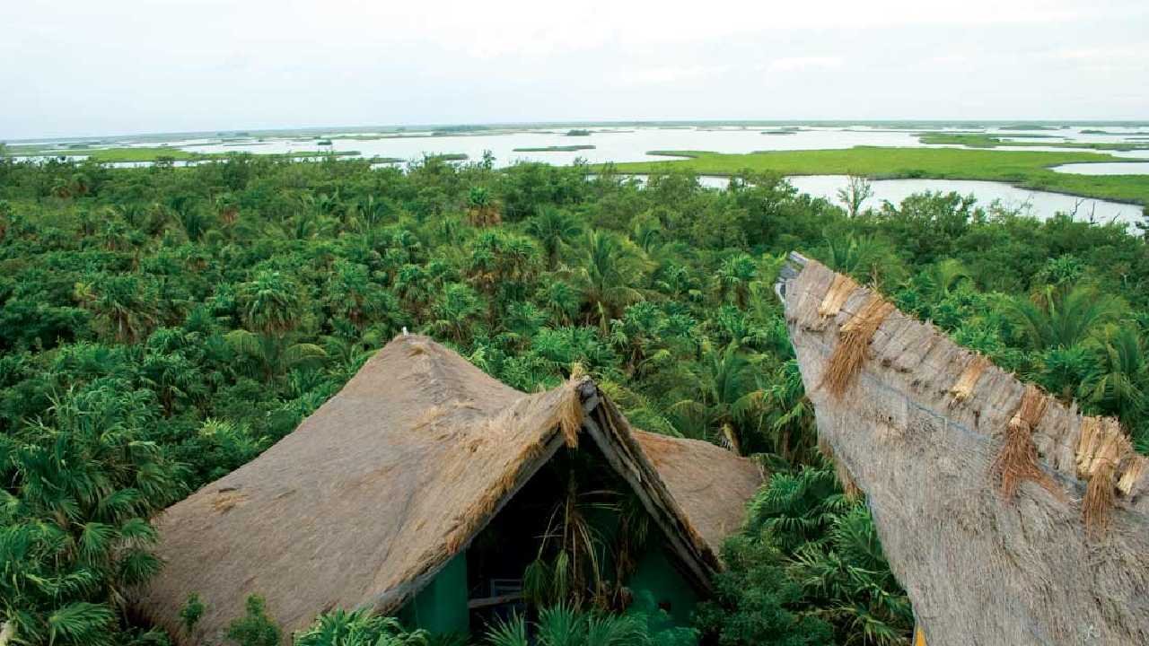 Aerial view of the Sian Ka'an Biosphere Reserve in Quintana Roo, Mexico, showing coastal wetlands and mangroves