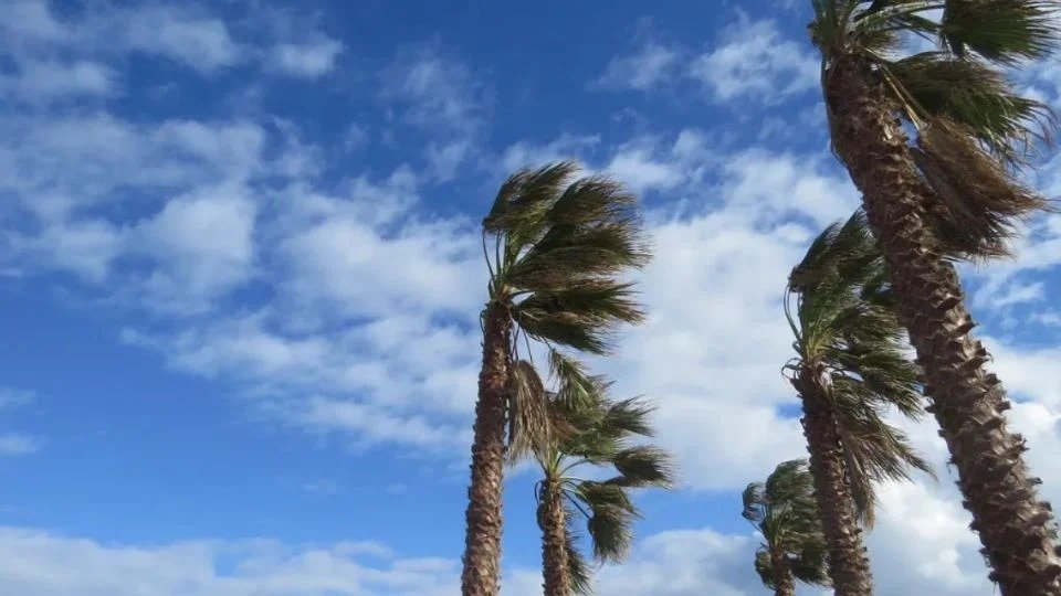 A map or graphic showing the forecast area for strong winds and high waves along the Quintana Roo coast.