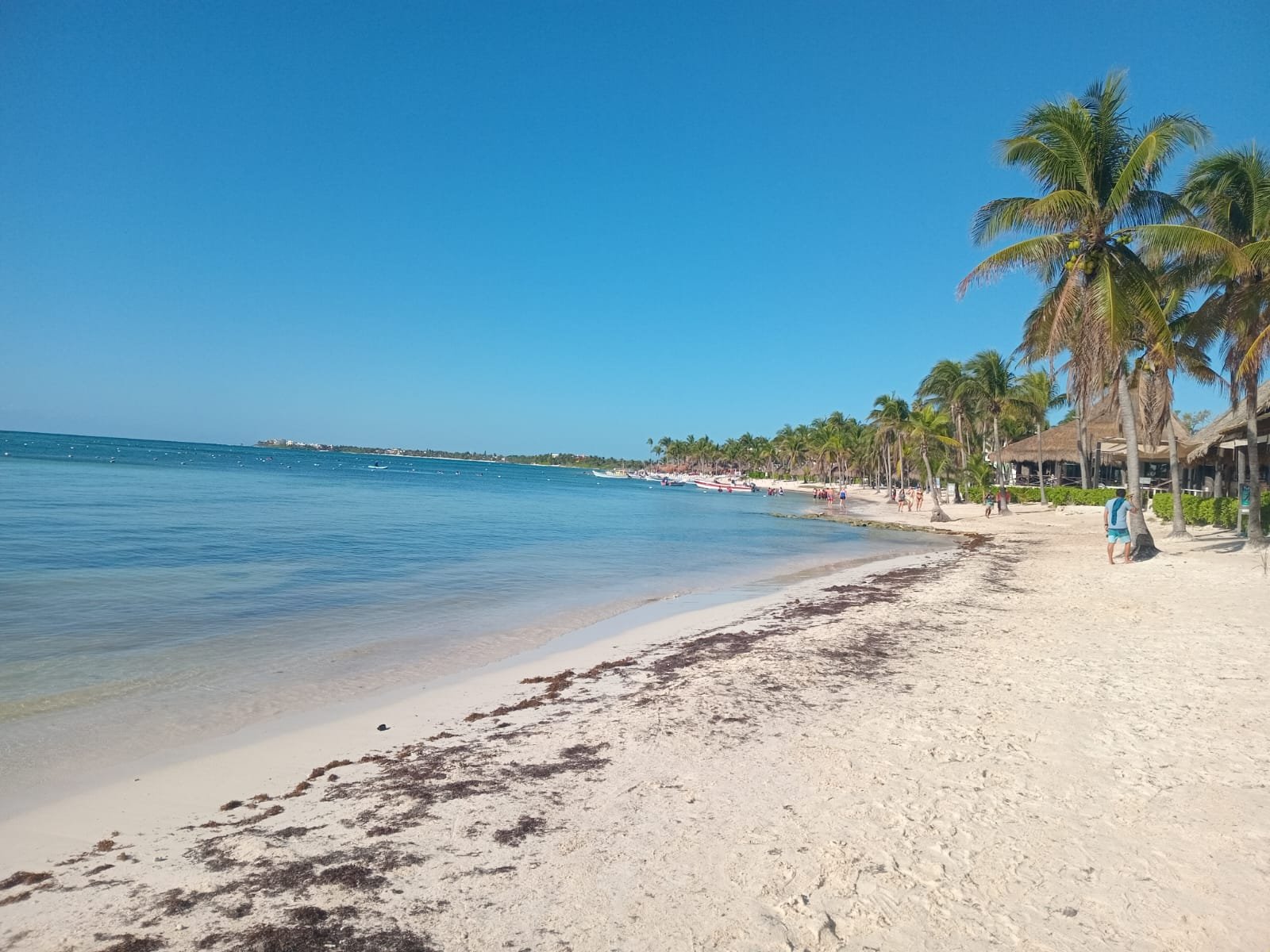 A view of Akumal Bay with clear waters and no visible sargassum on the shoreline