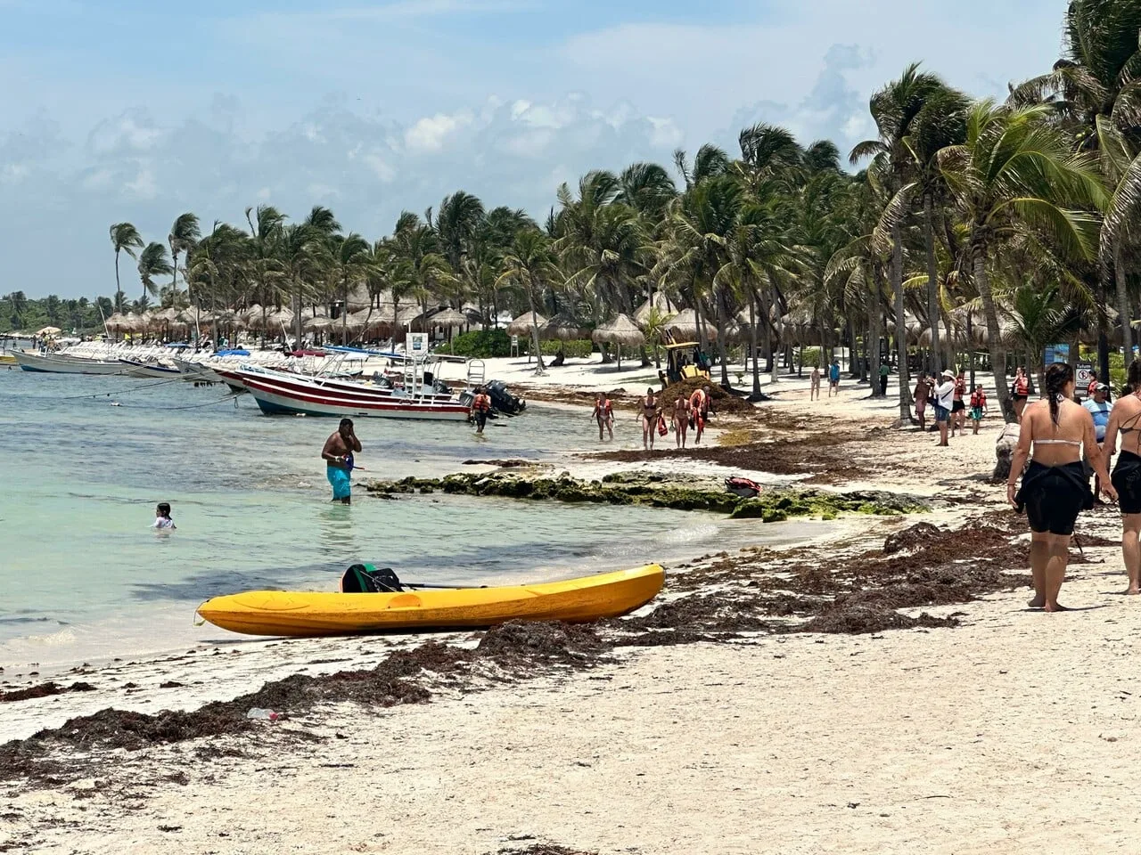 Tourism operators and visitors on the beach in Akumal, Quintana Roo