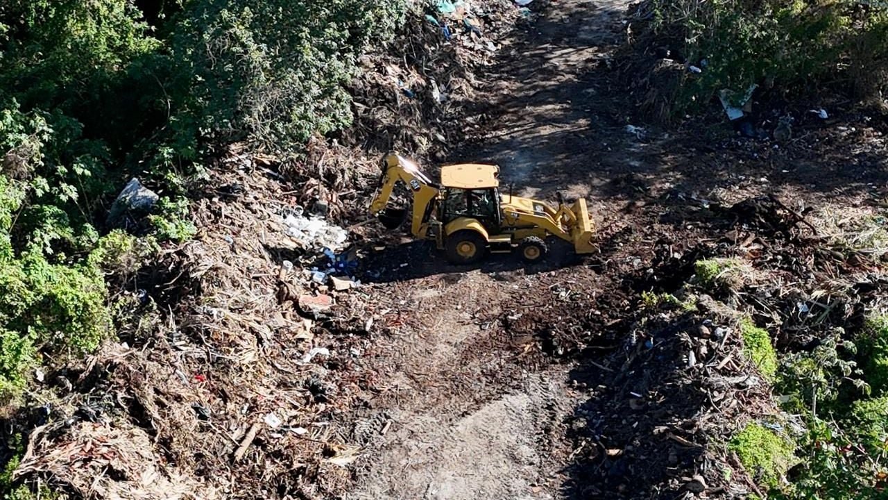 Workers clearing green waste at Banco Campeche in Cozumel for compost production