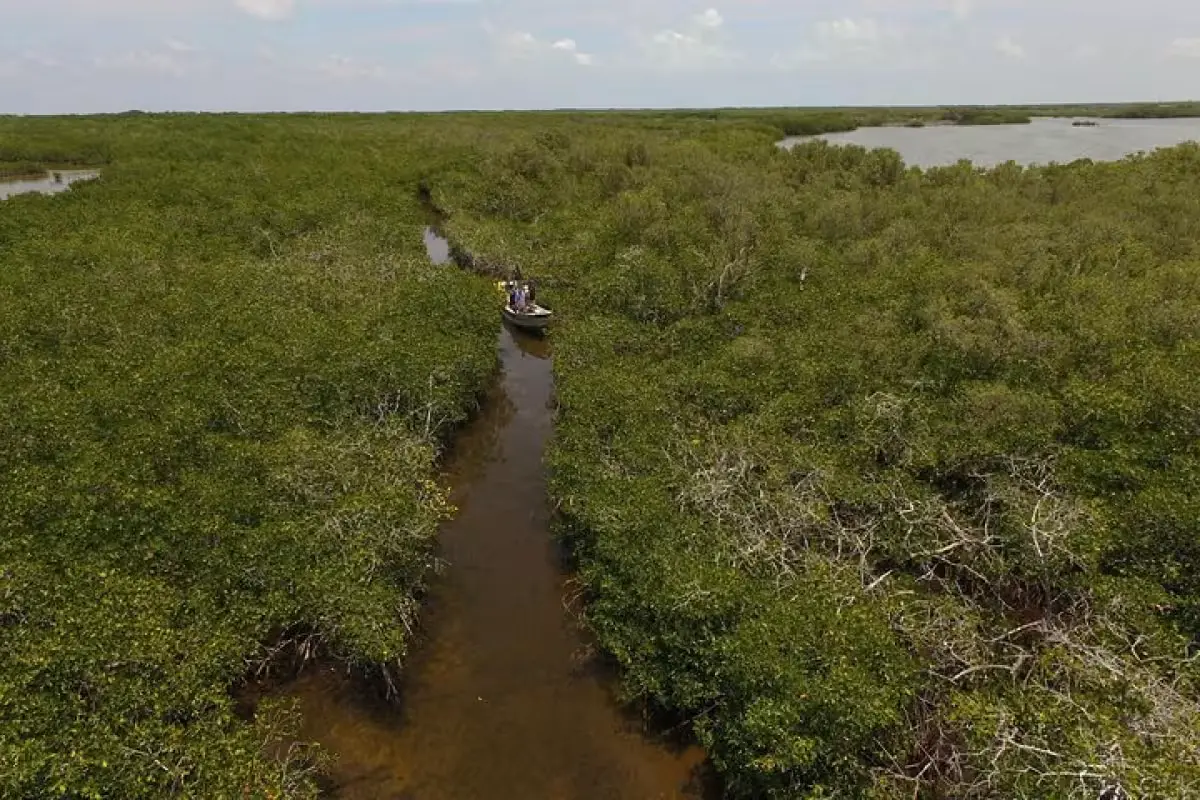 A boat slowly navigating through narrow mangrove channels in Isla Mujeres, Quintana Roo