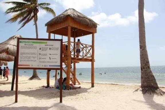 Workers cleaning sargassum on a Cancún beach with machinery and manual labor