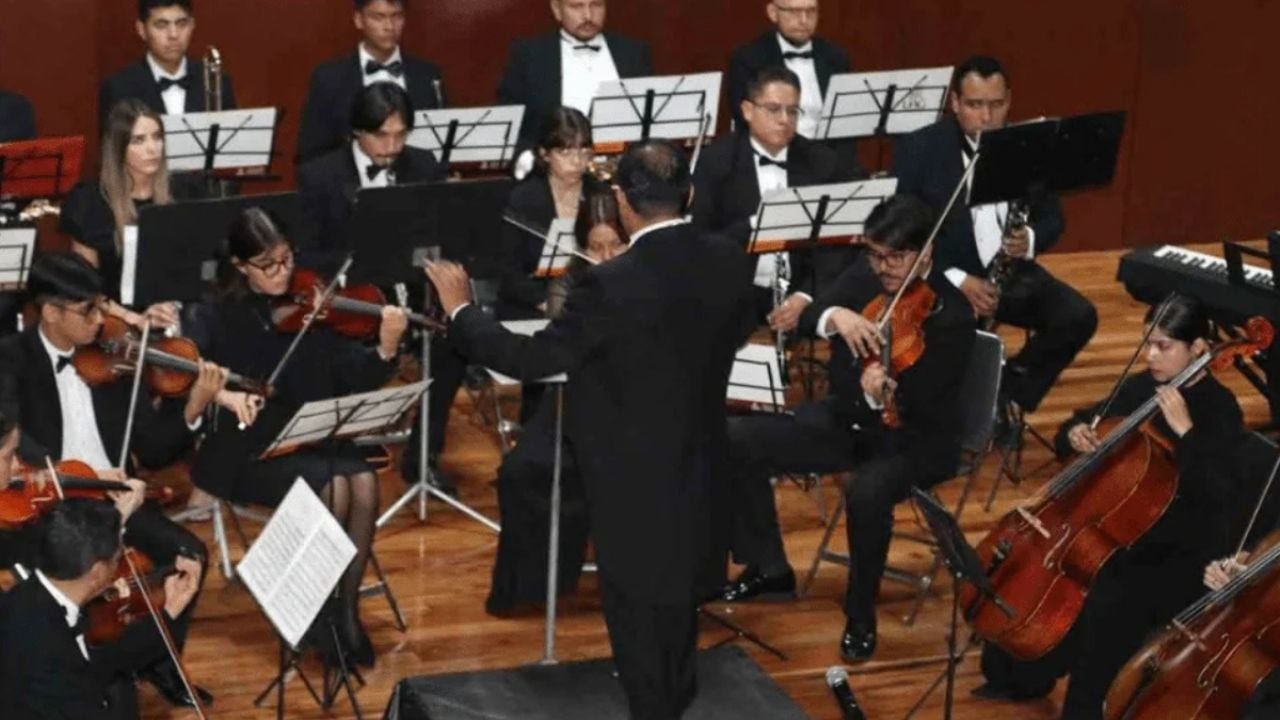 Musicians performing in a chamber orchestra setting in Cancún