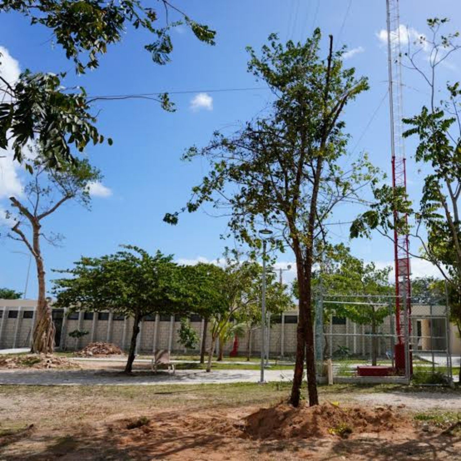 Students and officials planting trees at a school in Cancún as part of the Arboriza Cancún en tu escuela program