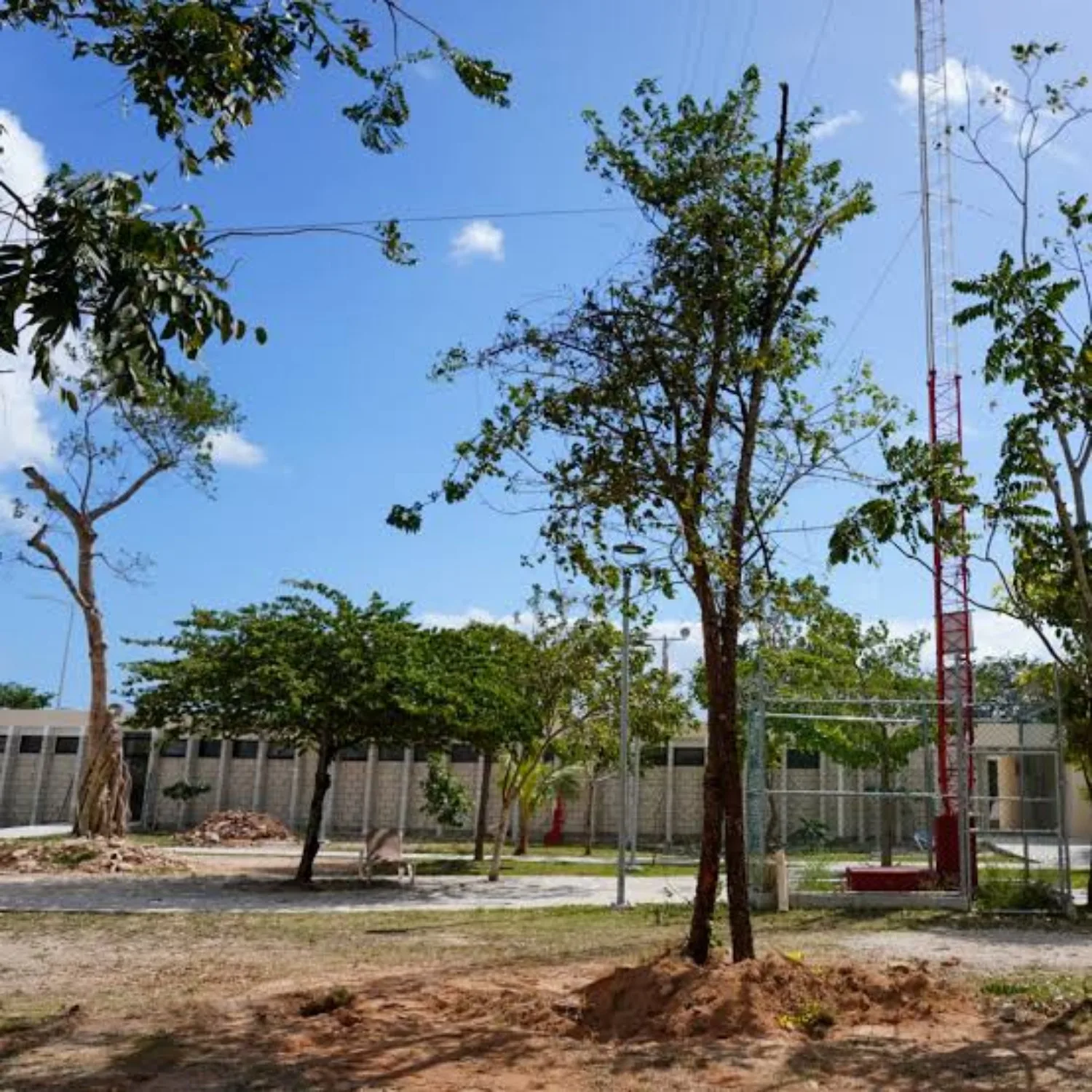 Students and officials planting trees at a school in Cancún as part of the Arboriza Cancún en tu escuela program