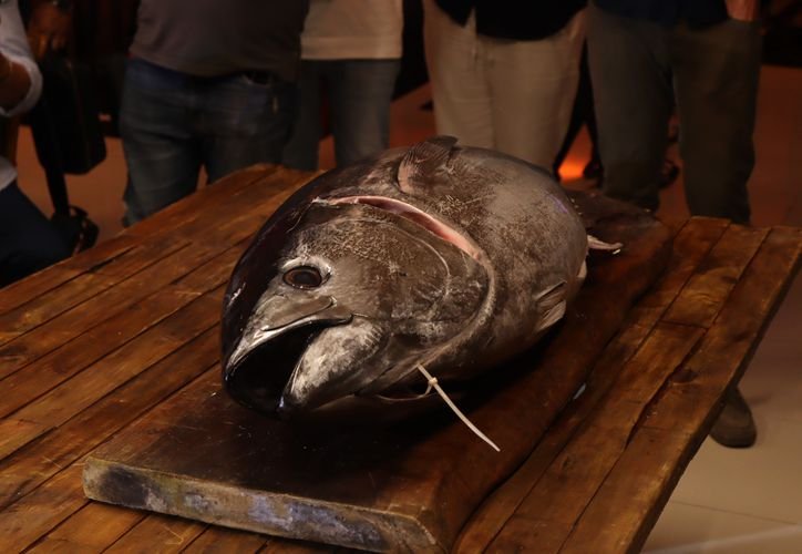 A seafood dish in a Cancún restaurant, illustrating the issue of banned species being served