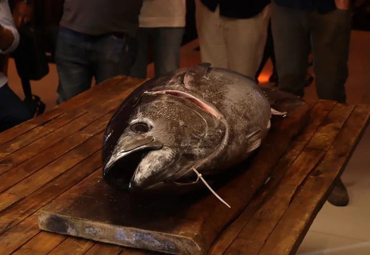 A seafood dish in a Cancún restaurant, illustrating the issue of banned species being served