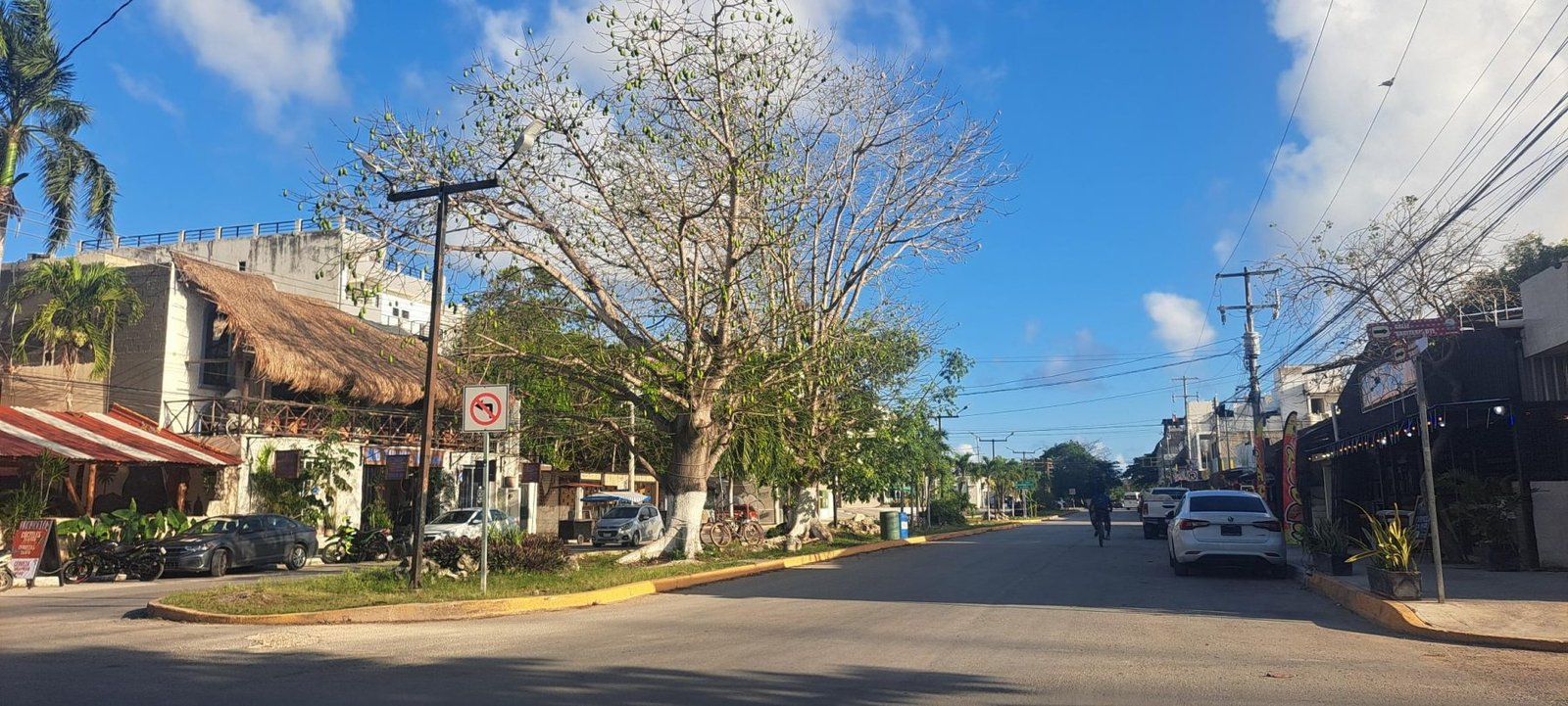 A picturesque street lined with trees and shops in a tropical setting, featuring a blue sky and scattered clouds.$# CAPTION