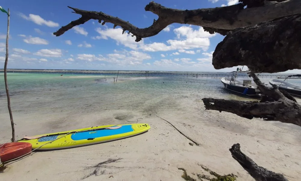 Aerial view of a clear beach in Costa Maya, Quintana Roo, with no visible sargassum seaweed