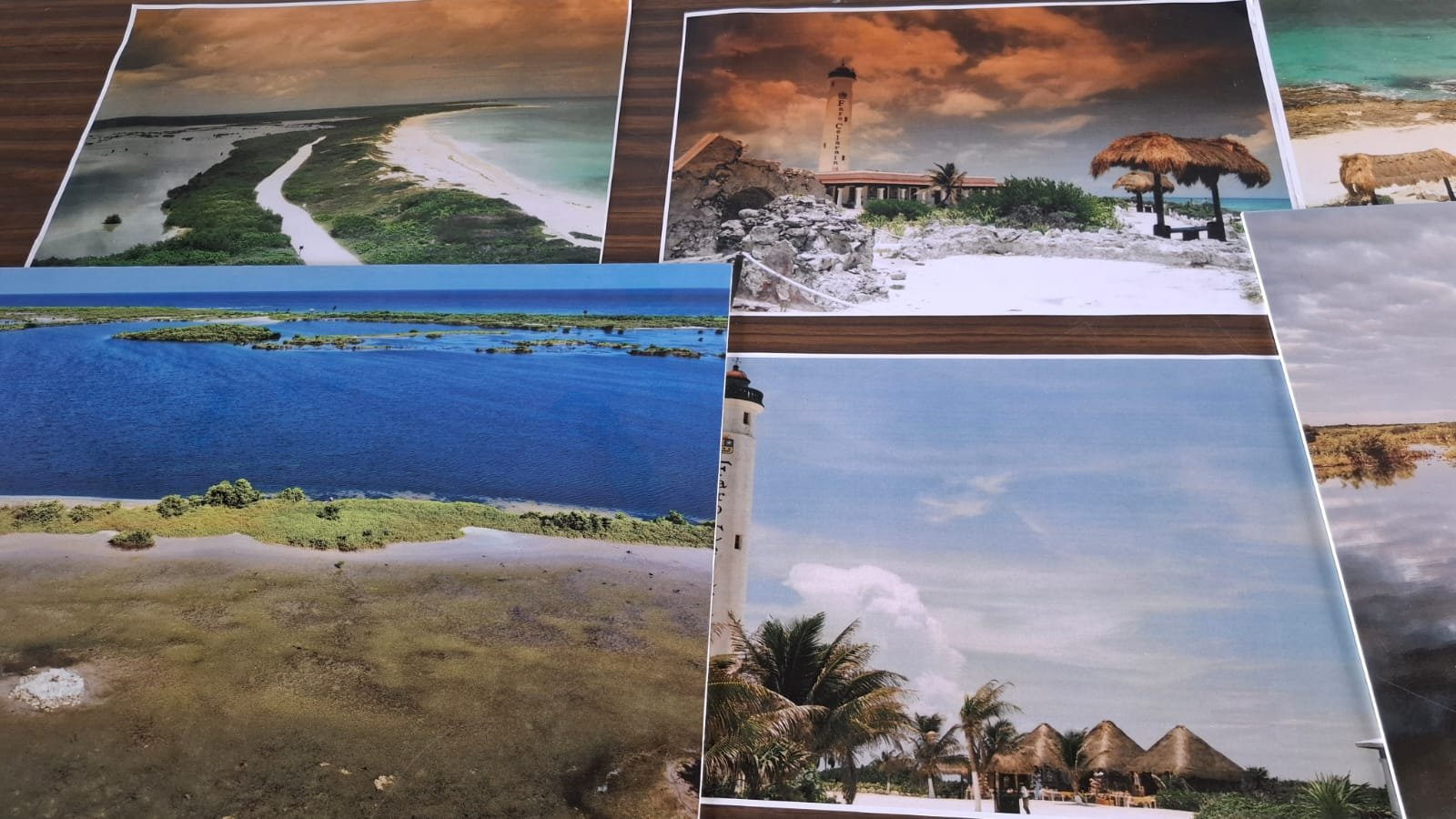 Aerial view of Cozumel island showing lush forests and coastline