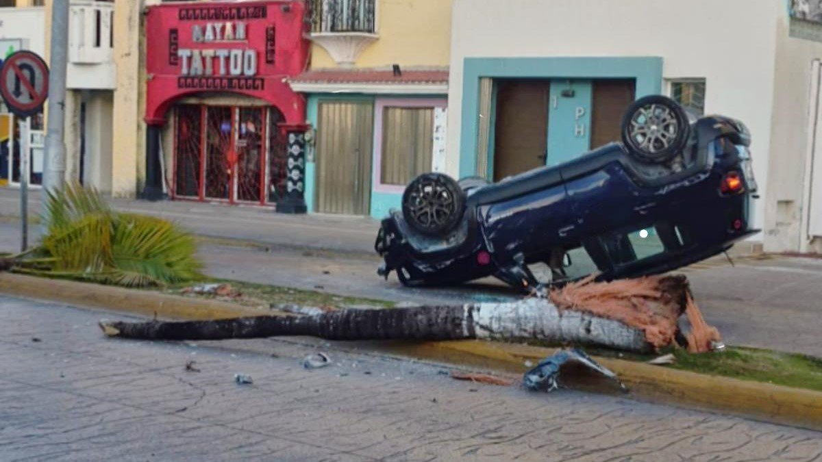 An overturned vehicle on Rafael E. Melgar Avenue in Cozumel after a crash that also knocked down a palm tree