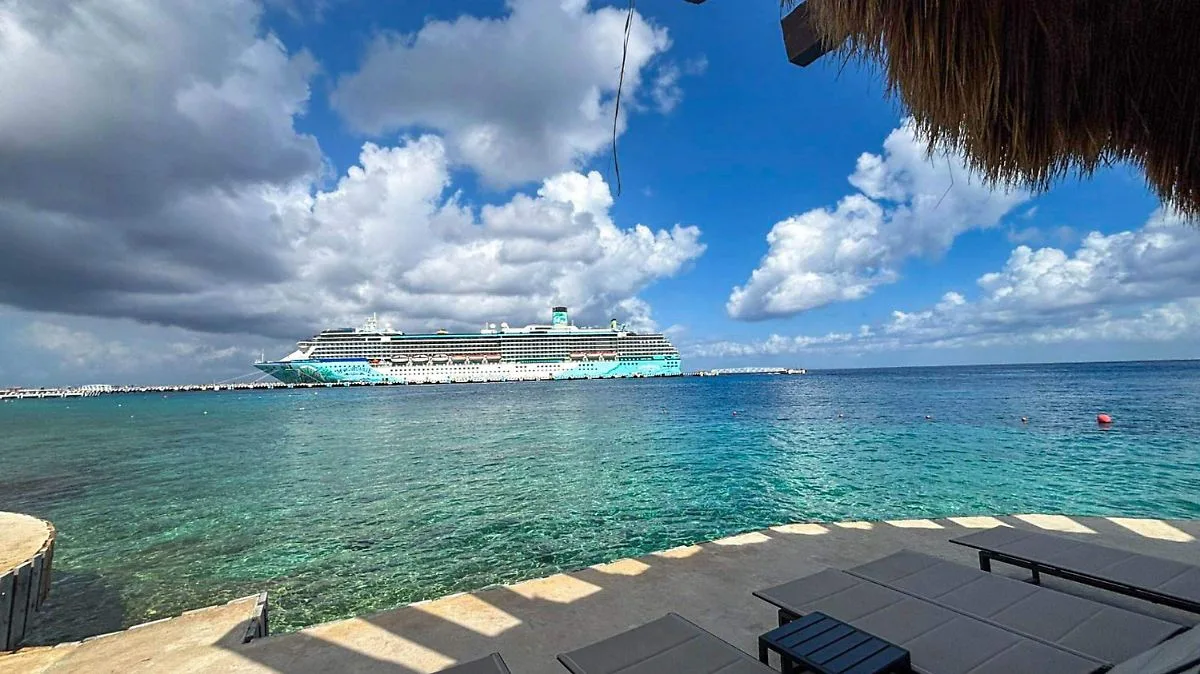 A cruise ship docked near Cozumel, Mexico, with the island's coastline visible in the background