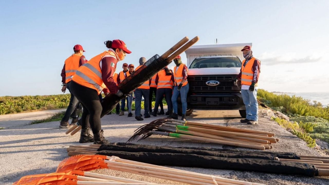 Workers in new uniforms and equipment preparing for sargassum cleanup on Cozumel beach