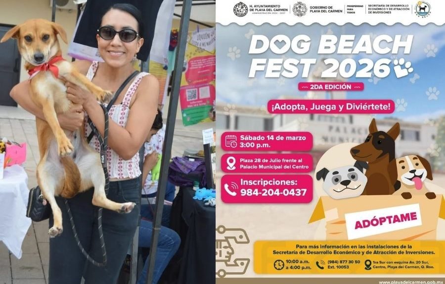 Dogs and their owners participating in activities at the Dog Beach Festival on a beach in Playa del Carmen