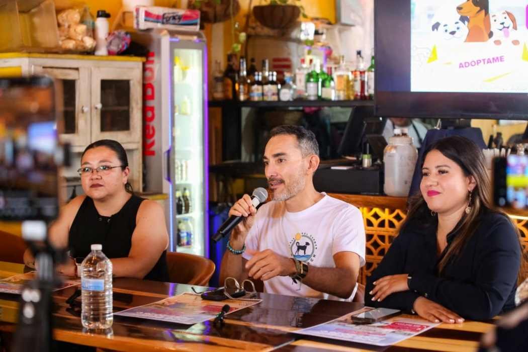 Officials and organizers at a press conference announcing the Dog Festival in Playa del Carmen
