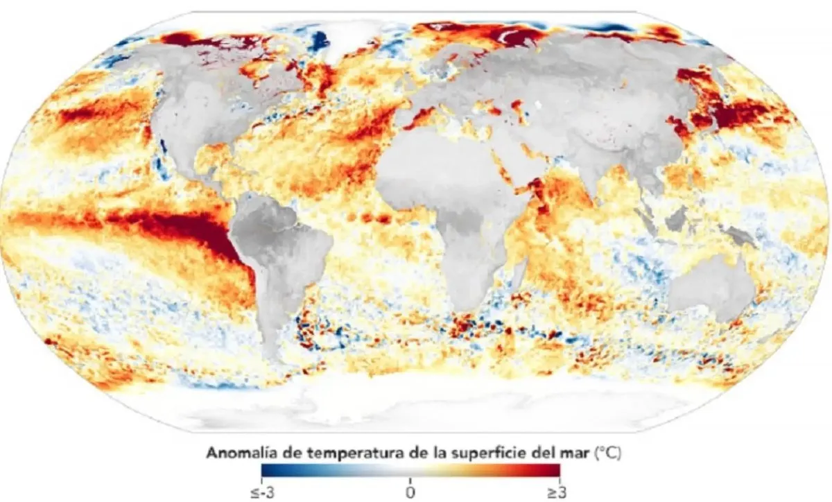 A satellite image or graphic depicting the El Niño weather pattern over the Pacific Ocean