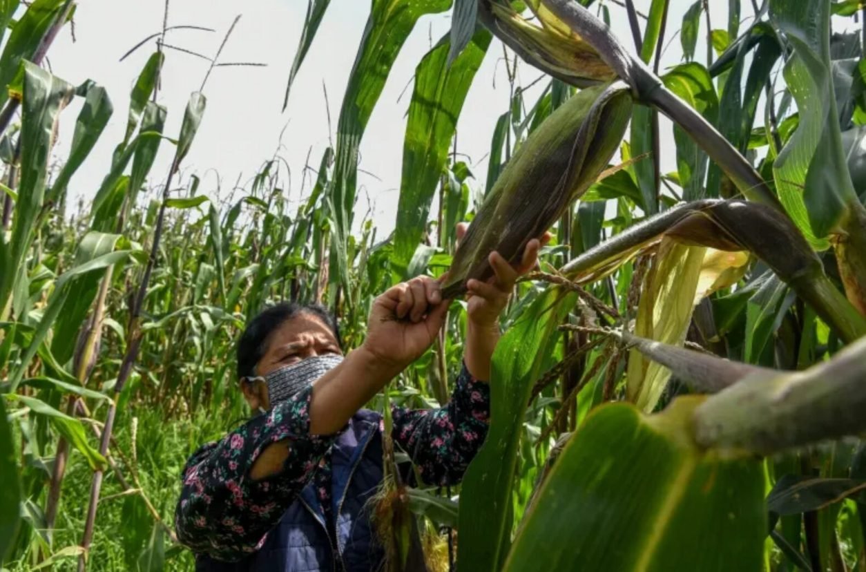 A cargo ship transporting fertilizer through the Strait of Hormuz, with Middle Eastern coastline in the background