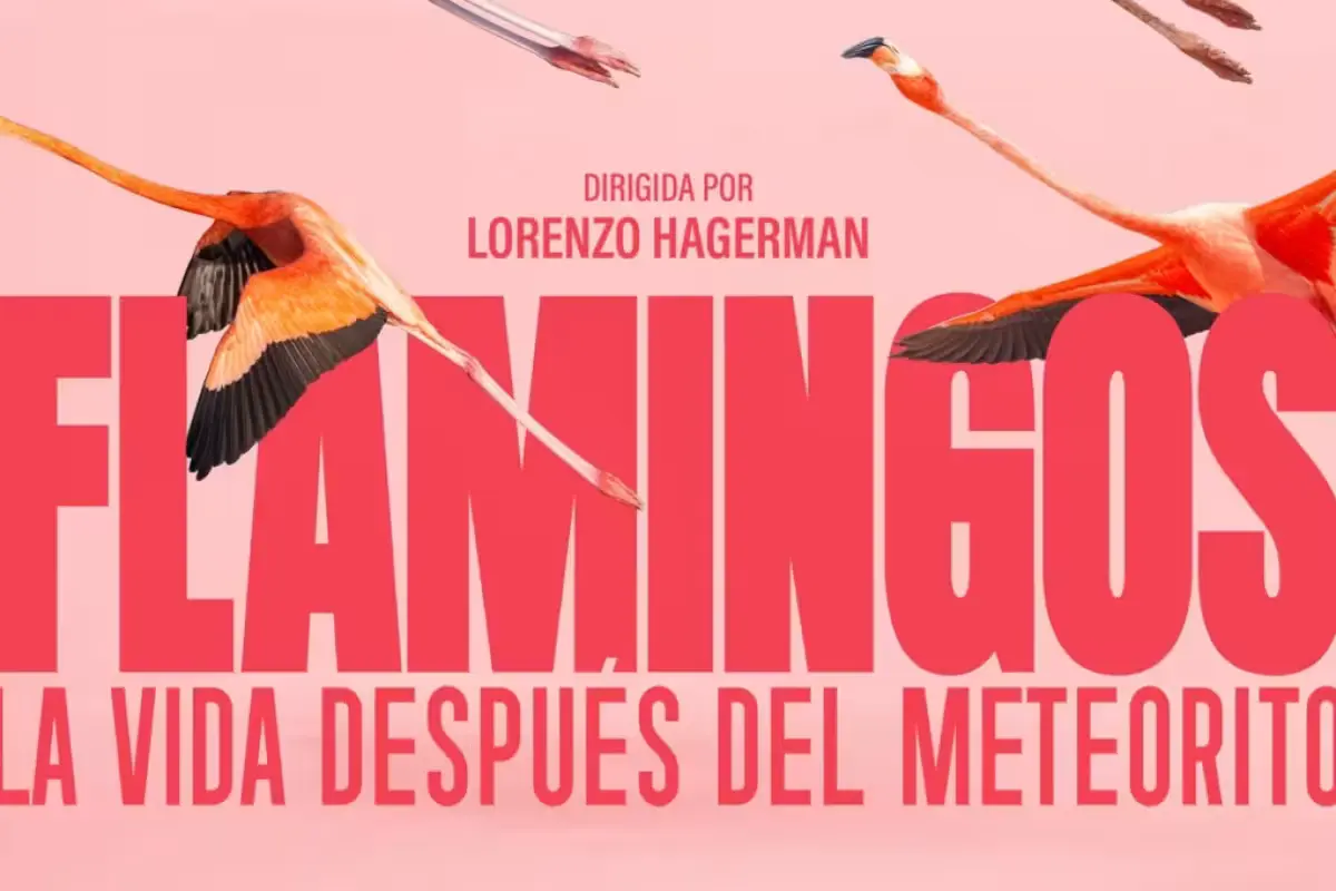 A scene from the documentary 'Flamingos: Life After the Meteorite' filmed on the northern coast of Yucatán