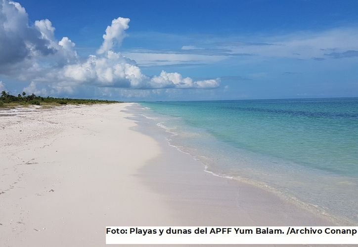 Aerial view of Isla Holbox, part of the Yum Balam protected area in Quintana Roo, Mexico