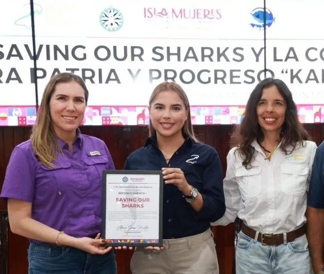 Officials and conservationists meet in Isla Mujeres to discuss shark protection and sustainable tourism projects