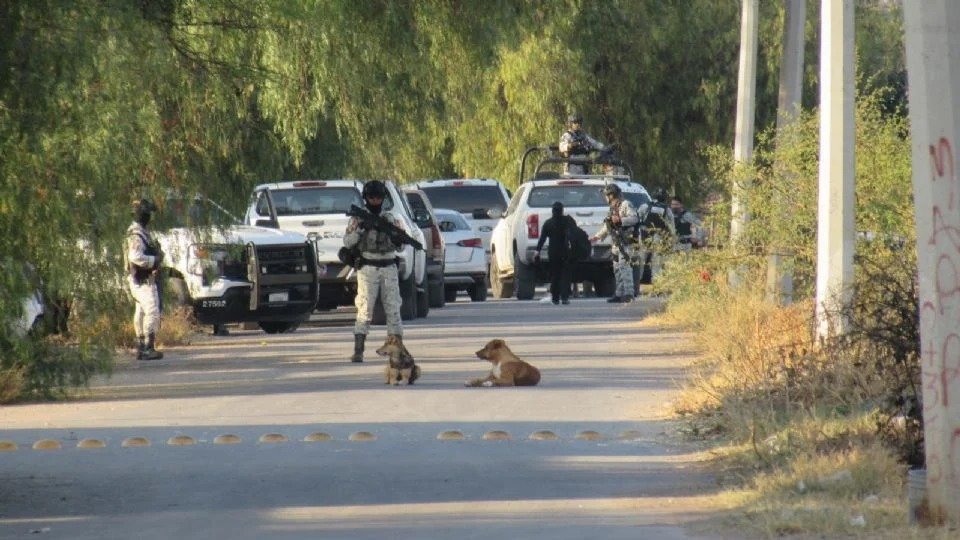 Police operation in Guanajuato leading to the arrest of alleged cartel leader María Guadalupe N.
