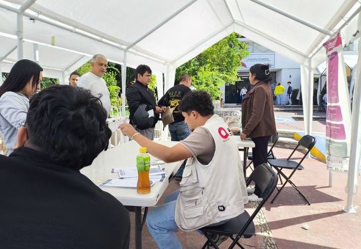 A person holding new license plates at a Quintana Roo tax office