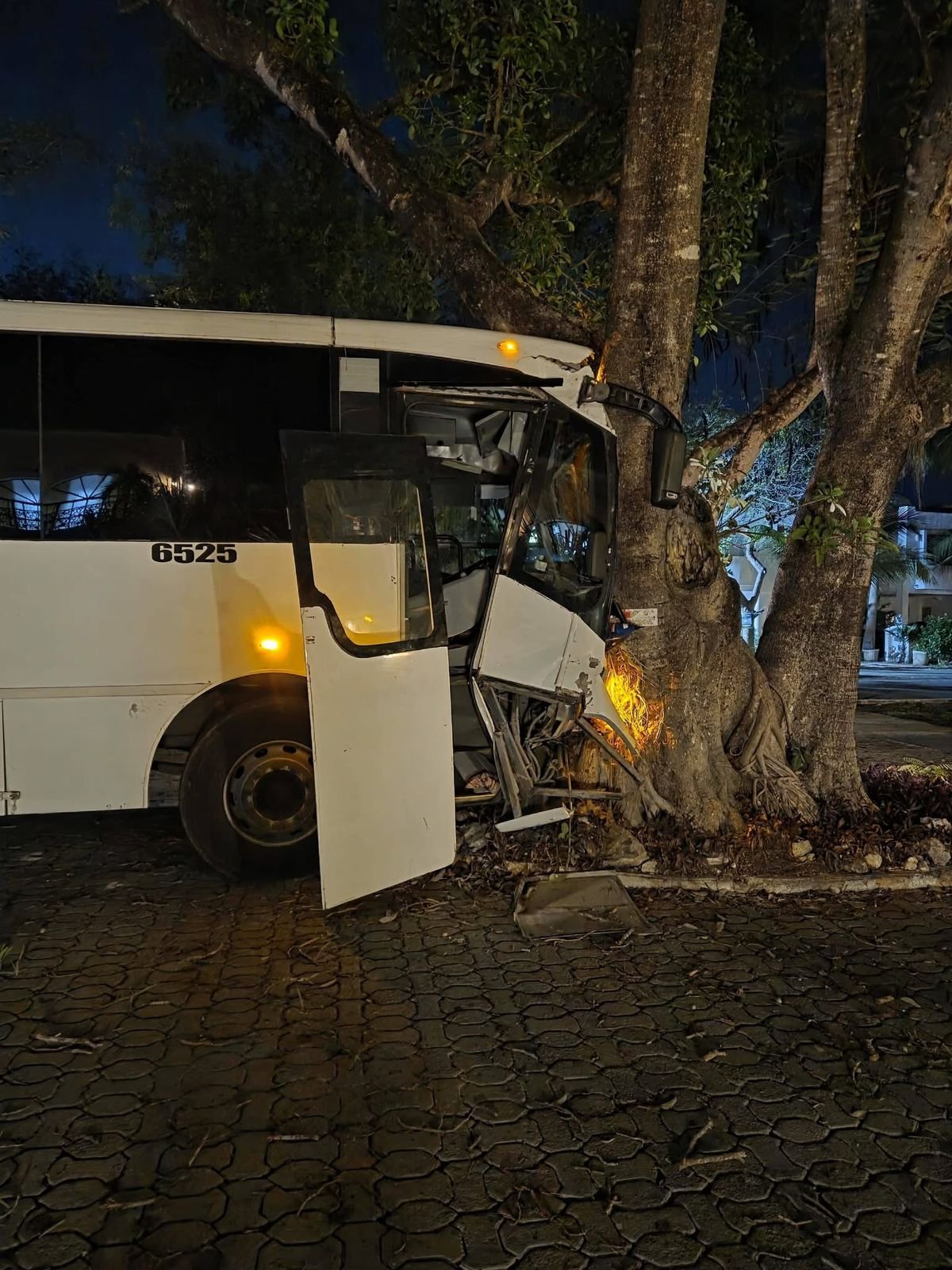 A LIPU bus crashed into a tree on Paseo Xaman Ha Avenue in Playacar, Playa del Carmen, causing material damage.