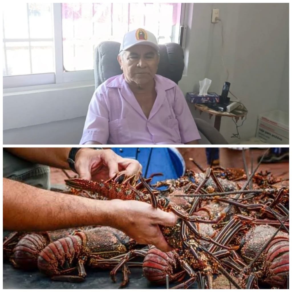 A lobster catch from Isla Mujeres, Quintana Roo, Mexico