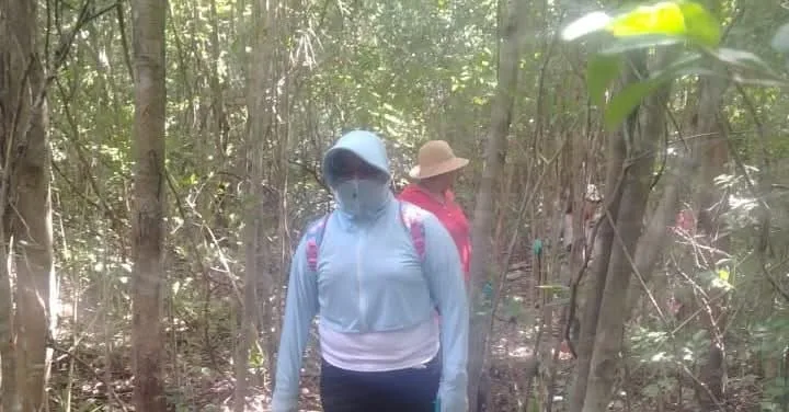 Members of the Madres Sembradoras de Memoria collective searching in Xpu-Ha, Quintana Roo