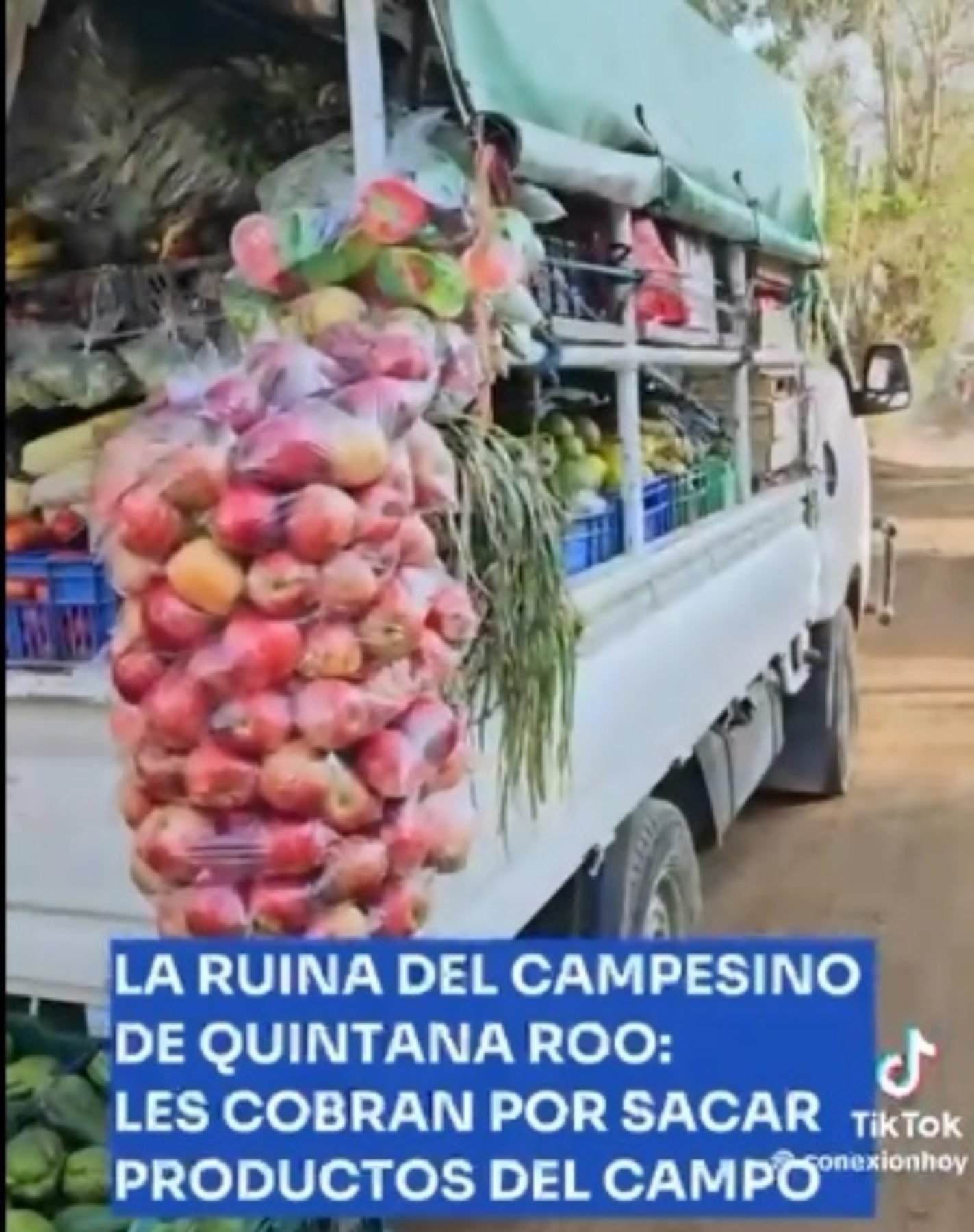 A truck loaded with fruits and vegetables parked on a dirt road, showcasing a local market in Quintana Roo, Mexico.$# CAPTION