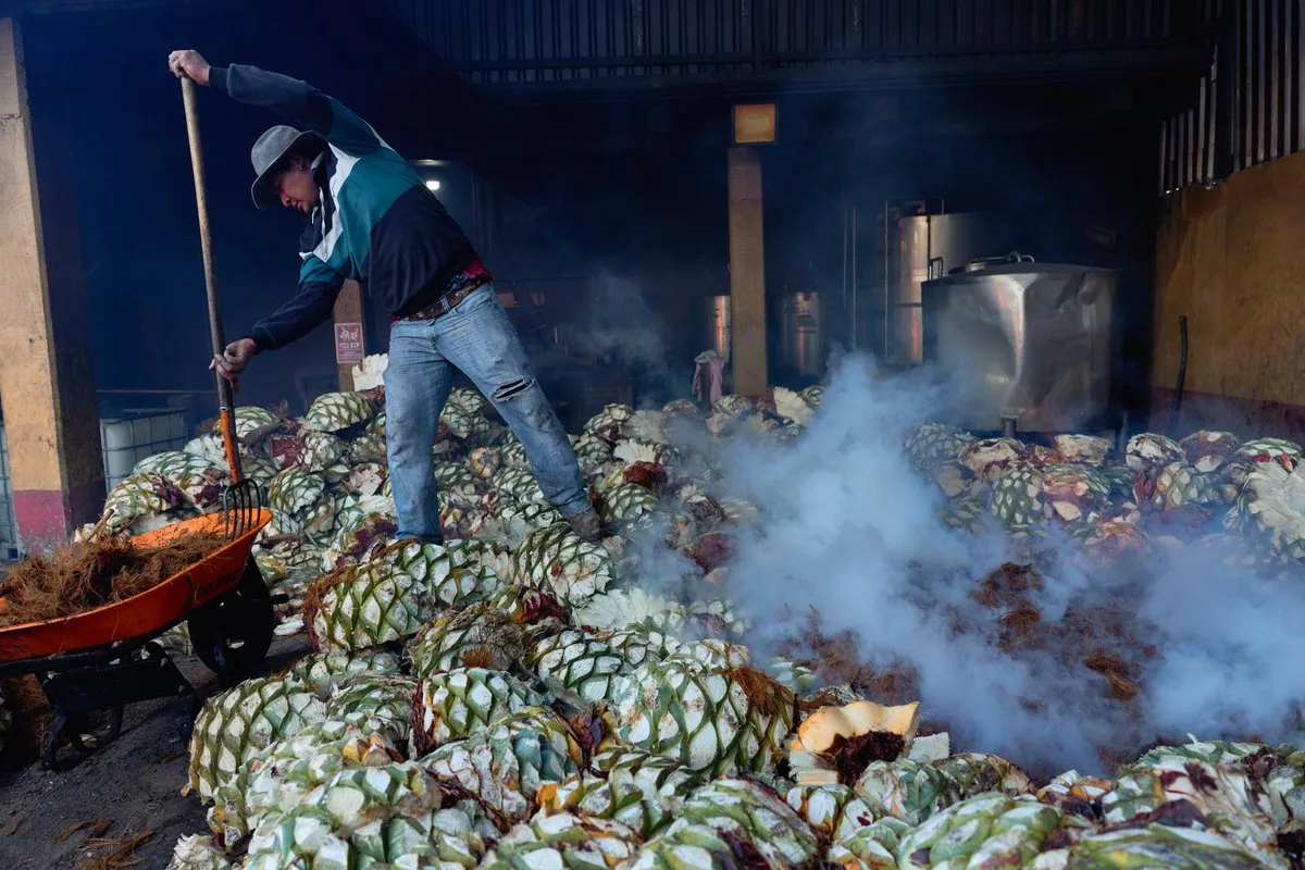 A worker at the Carlos Méndez Blas mezcal distillery in Santiago Matatlán, Oaxaca