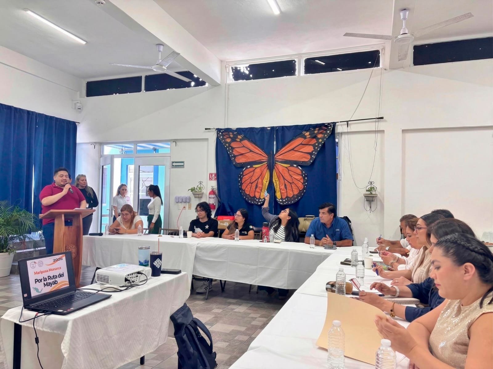 A monarch butterfly perched on a plant in Cozumel, Quintana Roo