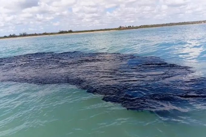 Cleanup crews working on a beach affected by an oil spill in the Gulf of Mexico