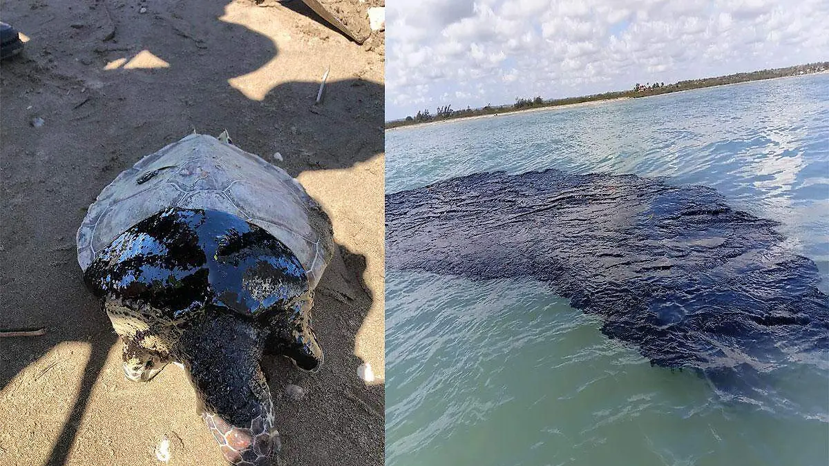 Aerial view showing oil contamination along the coast of Veracruz and Tabasco in Mexico